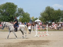 DSC_9498_web